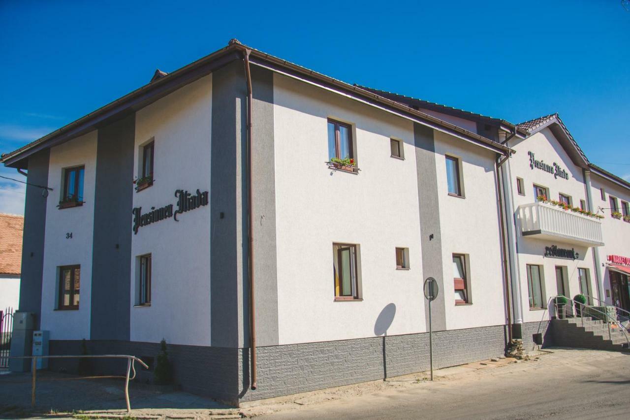 Pensiunea Iliada Nagyszeben Kültér fotó