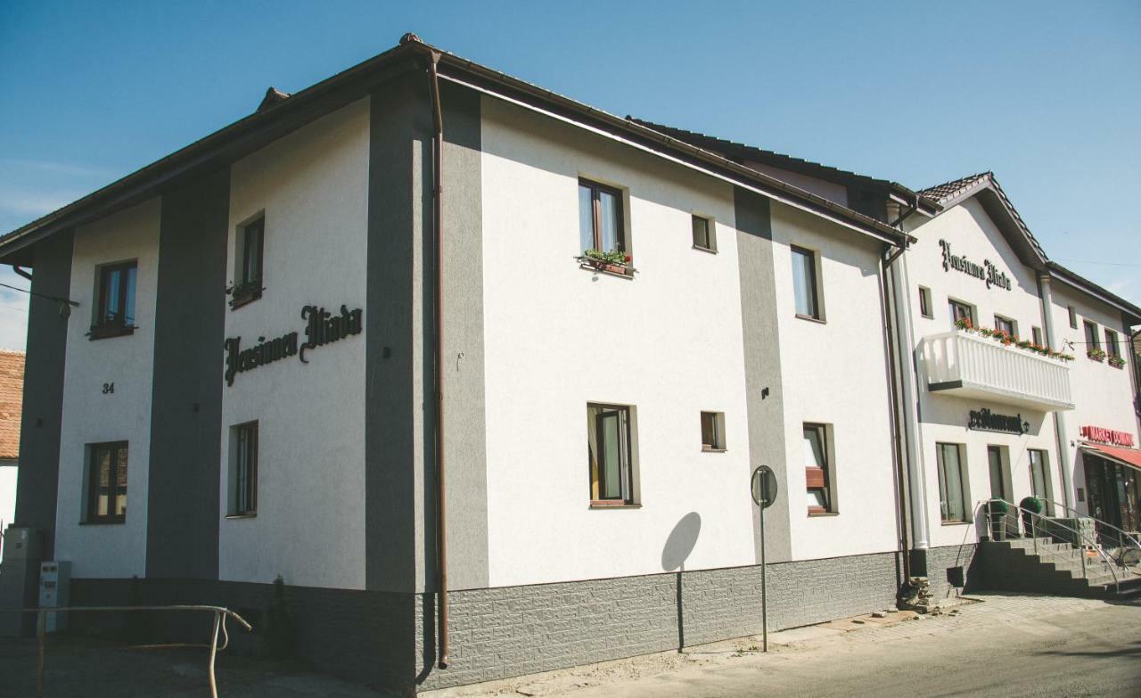 Pensiunea Iliada Nagyszeben Kültér fotó